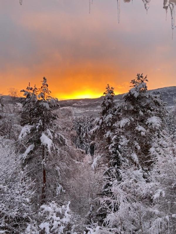 Valdres Gjestegard As - Fengselet Hove Εξωτερικό φωτογραφία
